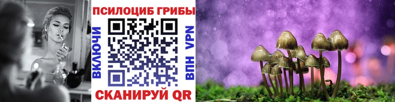 Псилоцибиновые грибы ЛСД  Кущёвская 